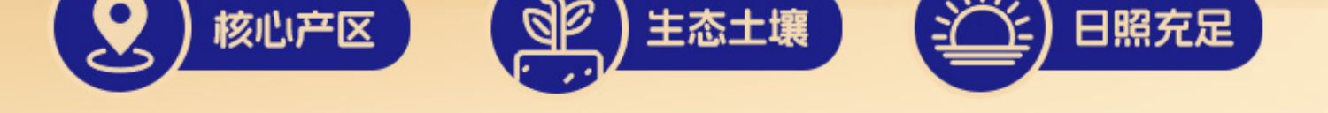 多宝平台网页版登录入口