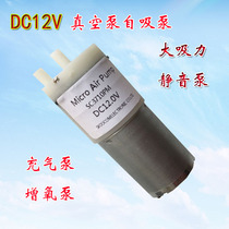 12V miniature silent vacuum pump Small suction pump breast pump Vacuum machine DC diaphragm pump oxygenation pump