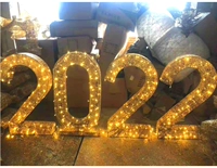 Большой, 100×15×60см