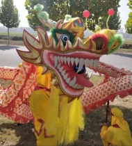 Golden Dance Dragon Props Rice Dancing Dragon Green Bamboo Dance Dragon Social Fire Dragon Dance Dragon Adults Juggling Dragon Lantern