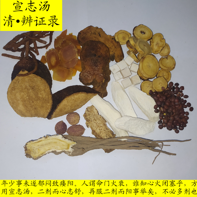 Prescription for Xuanzhi Decoction to Be Taken Orally for Young People with Unfulfilled Desires, Causing Depression and Impotence, with a Diagnosis of Syndrome