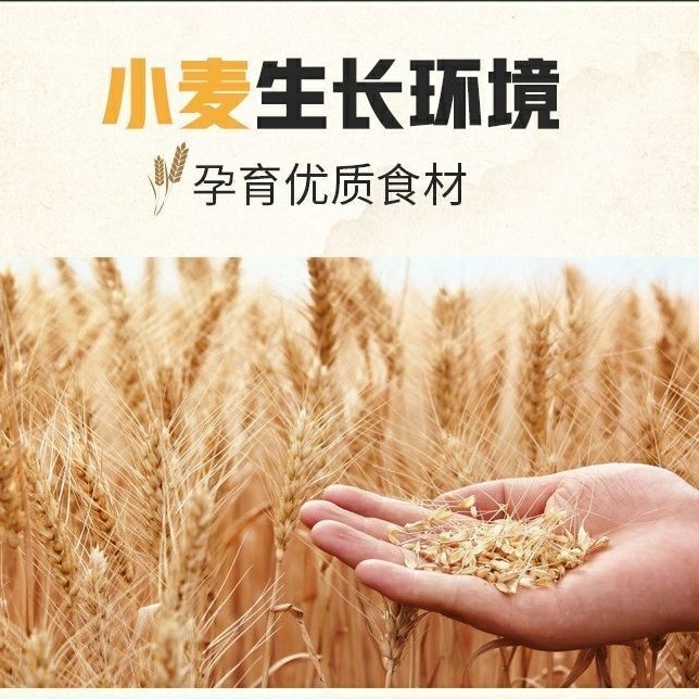 素真禾谷助农山东好产品的LOGO