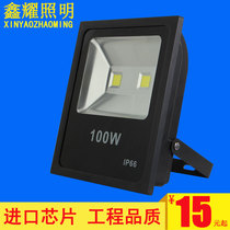 Flood light LED spot light Tree light Outdoor waterproof flood light Advertising sign light Outdoor street light 50W100W