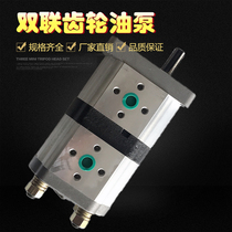 The double gear pump CBN-F316 F316 CBN-F310 F306 F314 F320 310 hydraulic oil pump