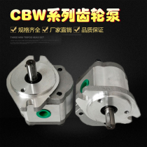 Gear Pump CBW-F304 306 308 310 314 316 320 325-ALP AFP Hydraulic Oil Pump
