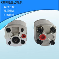 Gear pump small hydraulic power unit accessories micro gear pump CBK-F2 1 1 6 hydraulic gear oil pump