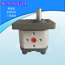Hydraulic oil pump high-pressure gear CBN-G304 CBN-G304 G306 G306 G316 G320 G320 G325 G325 tractor