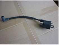 Hankai Captain Shunfeng Outboard Engine Outboard Marine Propeller Hanging Machine Ship Motor 6 Horsepower High Voltage Package