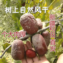 Special six-star Xinjiang Hotan jujube 20kg red dates large authentic pure natural original ecological dried jujube