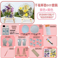 Материал для сухой цветочной монеты упаковка B1-Purple+желтый