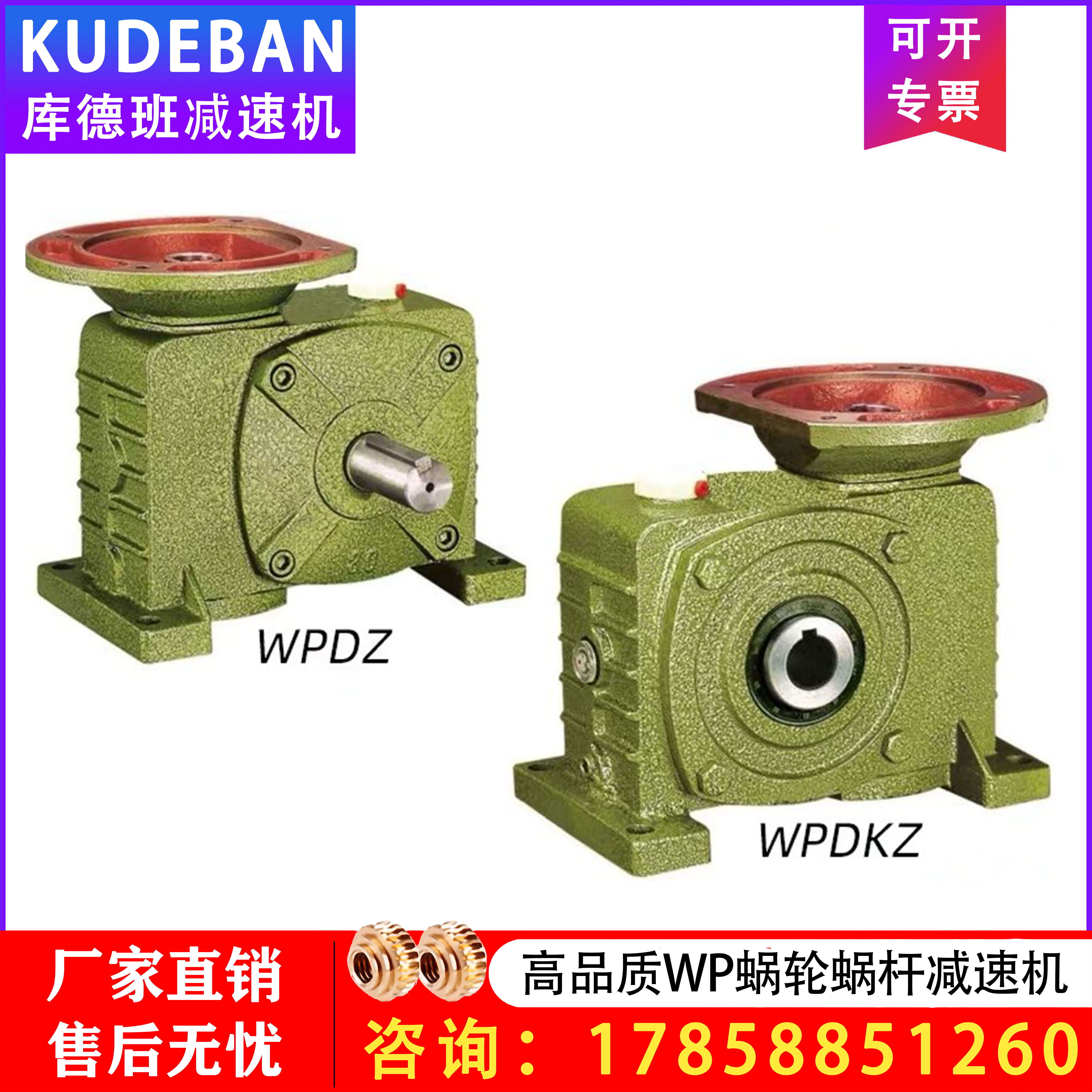 WPDZ WPDKZ 40 50 60 70 80 100 135 155 Worm gear reducer with motor