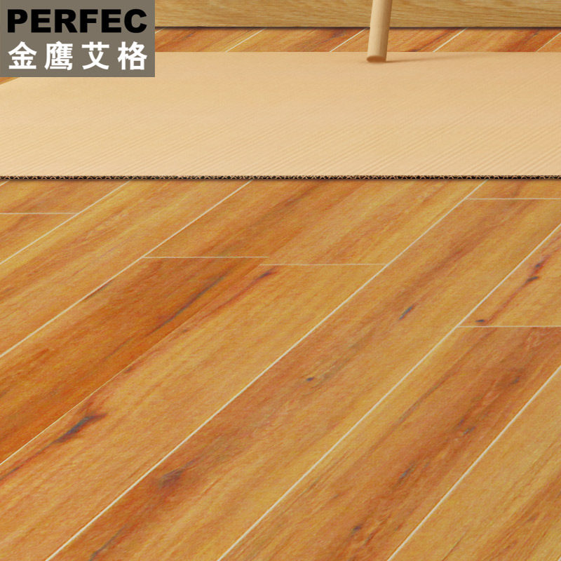 ��ӥ����ǿ�����ϵذ�1509