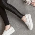 Thu đông 2018 cộng với phân bón Quần legging XL mặc quần lửng cotton cotton dày 200 pound mới