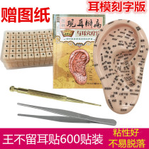 Chinese medicine ear points stick ear model ear point probe pen ear bean paste ear paste press bean paste ear paste press Bean King do not leave seed paste myopia paste