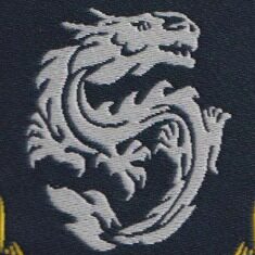 领衔配饰