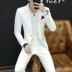 Bộ đồ ba mảnh nam phù hợp phiên bản Hàn Quốc của xu hướng Slim đẹp trai nam mùa thu stylist tóc nhỏ phù hợp với một bộ đồ - Suit phù hợp Suit phù hợp