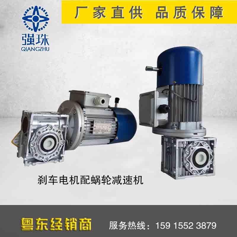 Strong bead worm gear reducer RV50 with three-phase brake motor YEJ7124-370W packaging machinery Professional use