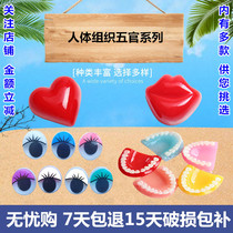 Psychological sand table sand set cake decompression catharsis childrens toys miniature model decoration human tissue facial features