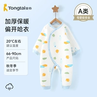 Дерево модели B-динозавры