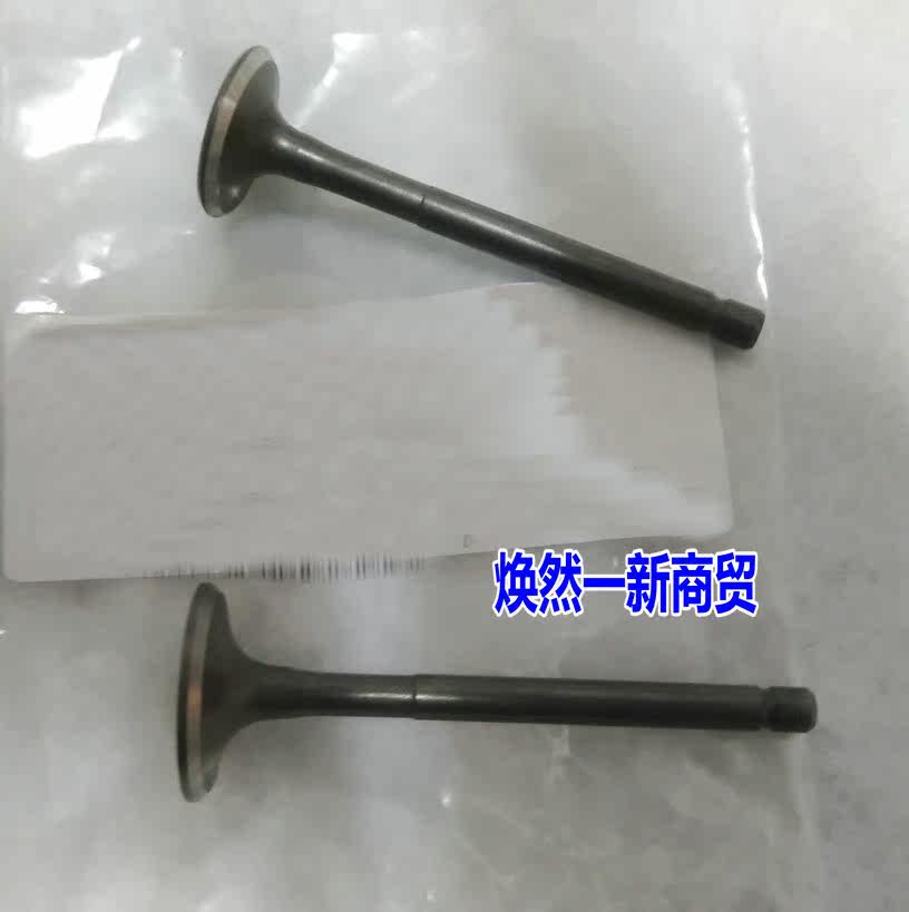 Suitable for mountain leafy eagle 100 skillet the Jubilee JOG100 ZY100T-2-3 into the exhaust valve