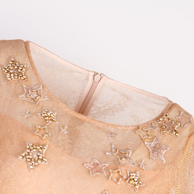 Sirli's new summer silk embroidered star mesh style regular loose-sleeved temperament dress