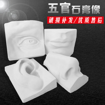 Painting Yue art Plaster character head Basic modeling Facial features Solid plaster Pixel tracing equipment Eyes ears mouth and nose