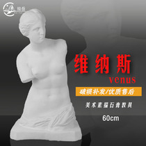 Drawing 60cm Venus hemibody plaster bust full body like fine art sketching teaching aids home pendulum decoration painting