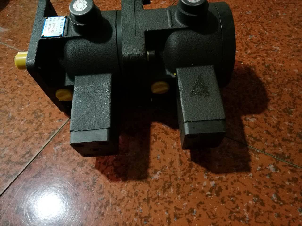 Yinchuan Great Wall Hydraulic TY10F-40 20 variable vane pump double vane pump spot