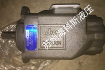Denison DENISON T6DC Blade Pump T6DC 050 020 1R00 B1 Original spot