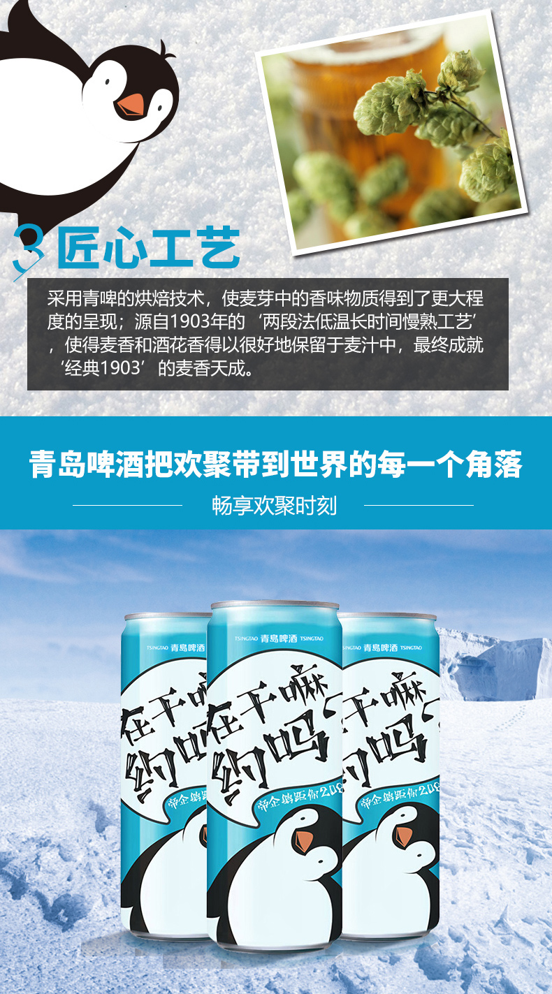 新品上市 青岛啤酒 1903极地罐 330ml*24听 图2