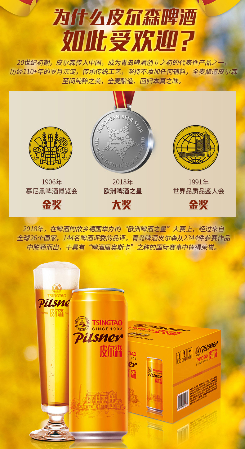 青岛啤酒高端款 皮尔森 10.5度全麦精酿 500ml*12听 图2