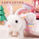 ວັນເດັກນ້ອຍໄຟຟ້າ Rabbit Plush Toy Girl Pet White Rabbit Doll Girl ຂອງຂວັນວັນເກີດເດັກນ້ອຍ