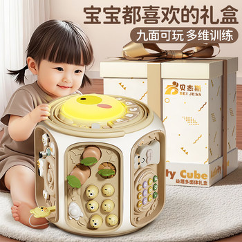 Baby Toys for 0 to 1 Year Old and 6 Months Old, Educational Early Learning Gifts for Toddlers, Suitable for Boys and Girls, Hand Drum