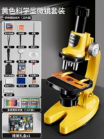 Профессиональные учебные пособия для школьников, микроскоп, образец, трубка