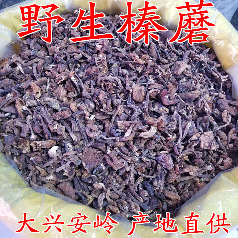 Daxing'anling Hazel Mushroom Wild Hazel Mushroom Northeast Specialty Mushroom Origin Direct Delivery Dry Goods New Goods 500g