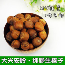 Hazelnut Daxinganling Wild Mountain Hazelnut Northeast Specialty Nut Snacks Roasted Seeds New Arrival 500g