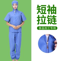 Синий [короткий рукав] стандартная модель