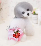 Физиологичные летние штаны, хлопковое нижнее белье, шорты