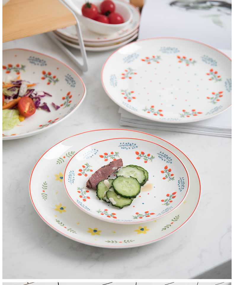 Lovely holiday ipads porcelain tableware suit dish dish spoon ceramic family dishes with rice bowl dish suits for
