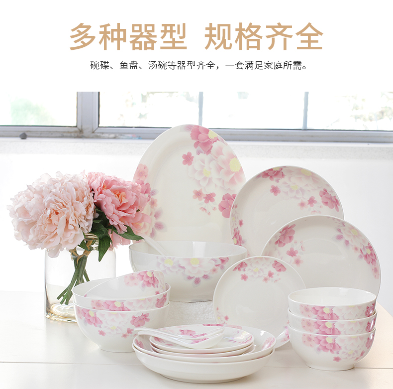 North house, ceramic tableware suit household ceramics romantic life suit dish bowl chopsticks combination of four families