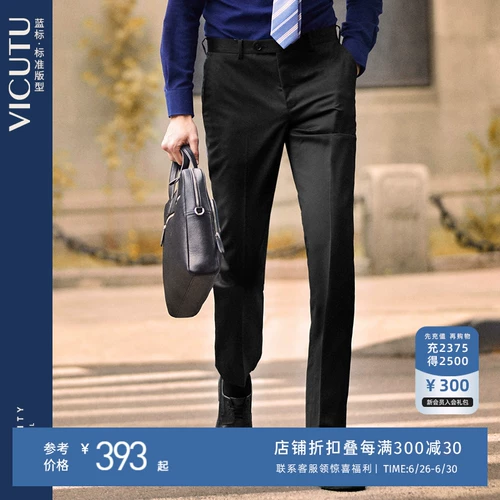 Штаны, костюм, шерстяной пиджак классического кроя, свободный прямой крой