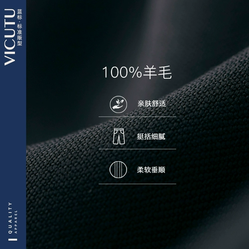 Штаны, костюм, шерстяной пиджак классического кроя, свободный прямой крой