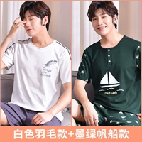 Белые перья+темно -зеленая парусная лодка