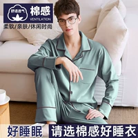 【Хлопкоподобный стиль】 Ананас и зеленый нефрит теплый