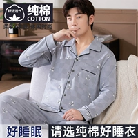 Ланг Ян Джини