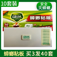 Таракана, потушенные гнездо с тараканом медицины, домашнее таракана, липкие доски, кухонные палочки соблазняют таблетки зеленые листья