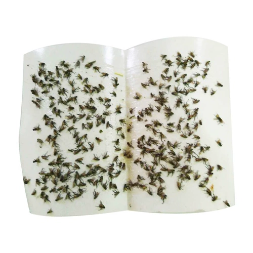 Fly -flies Motions Meties, липкие мухи, картонные липкие мухи, клей, дом разрушенных мух, наводнение на лету