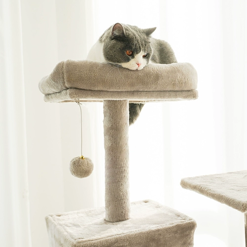 Zeze Cat Rigching Rack Strach Cat gest Integration Cat Tree не занимает земельные кошки