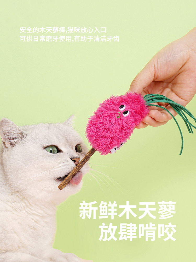 Игрушка для кошек zeze猫玩具木天蓼棒猫咪自嗨解闷含猫薄荷逗猫棒海鲜水果组合套装
