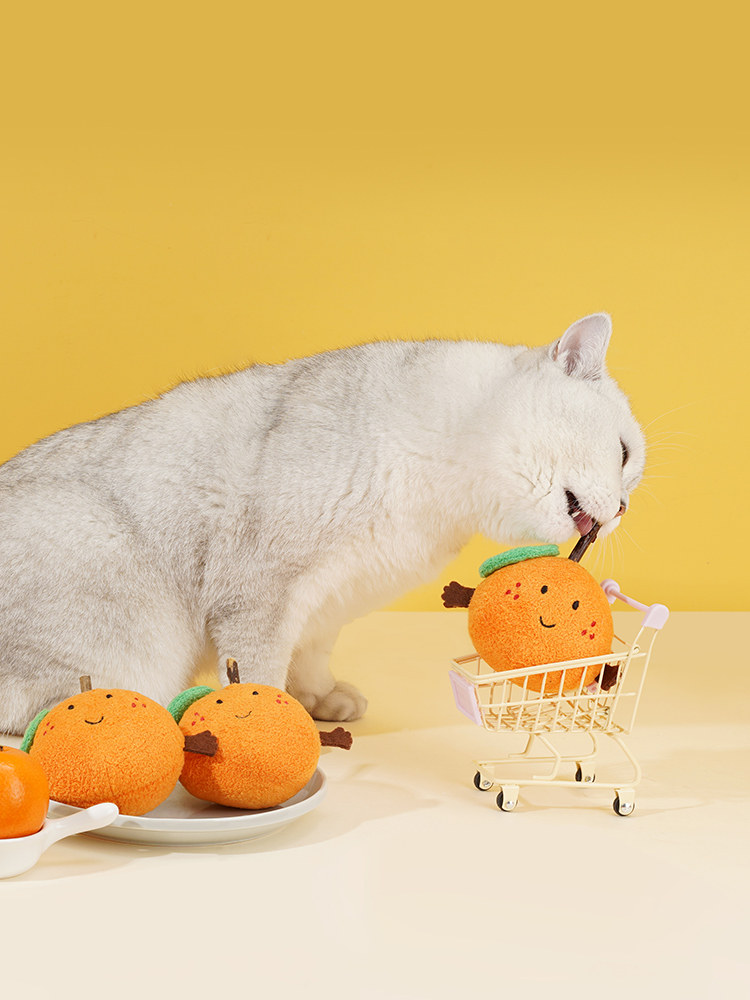 Игрушка для кошек zeze猫玩具木天蓼棒猫咪自嗨解闷含猫薄荷逗猫棒海鲜水果组合套装